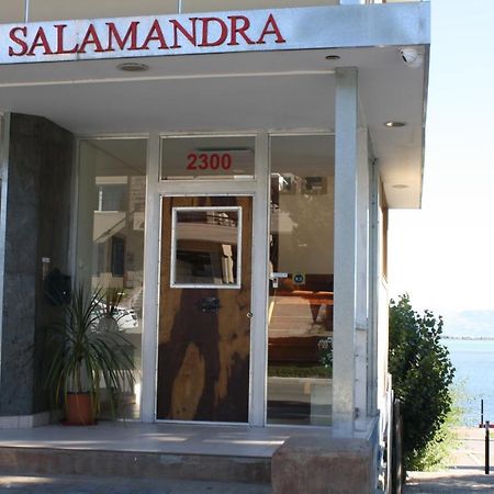 Salamandra Apartamentos Ел Калафате Екстериор снимка